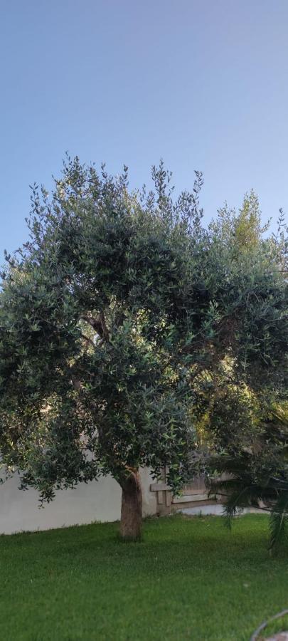 Bed and Breakfast La Bella Dimora Otranto Esterno foto